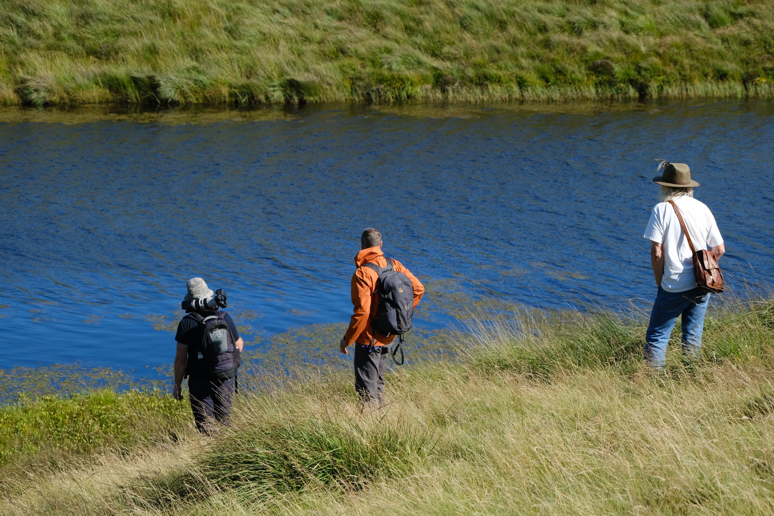 Members looking for dragonflies beside river