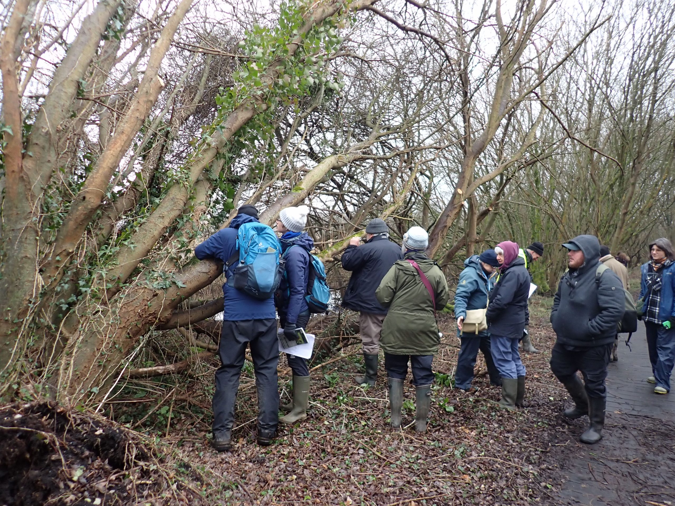 Members on a bryophyte field trip