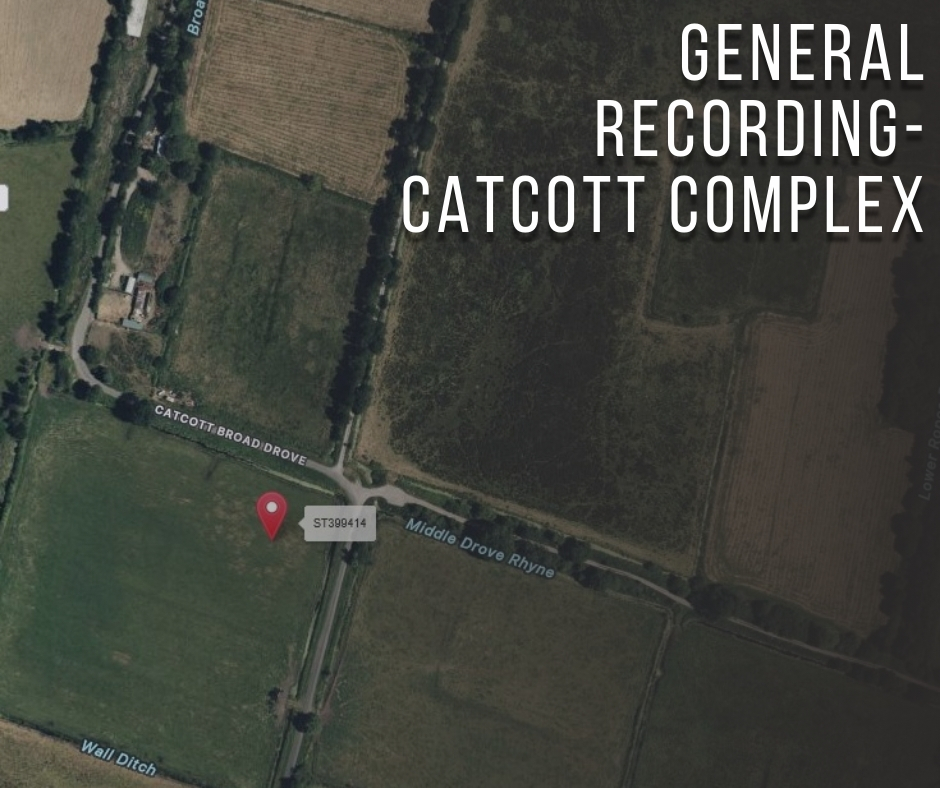 Recording at Catcott Complex