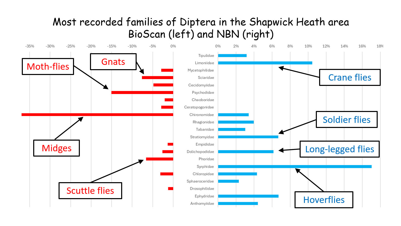 Most recorded Diptera