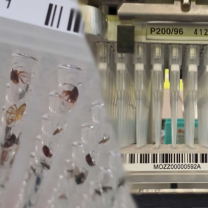 BioScan banner square