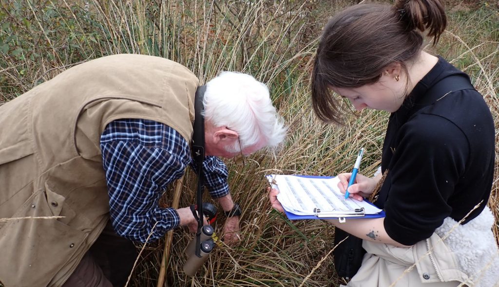 harvest-mouse-survey
