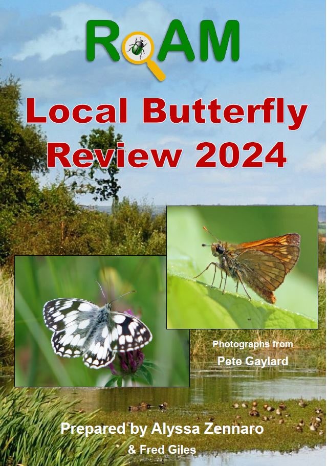 butterfly report cover 2024