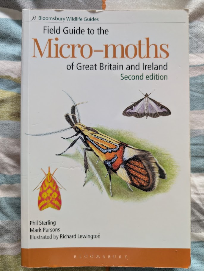 Picture of micro-moth field guide by Phil Sterling